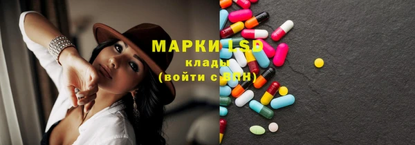дмт Каменка