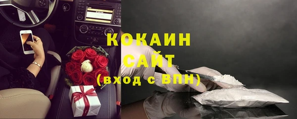 соль ск Касимов