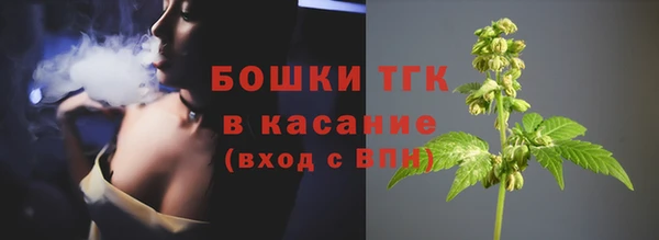 дмт Каменка