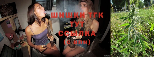 соль ск Касимов
