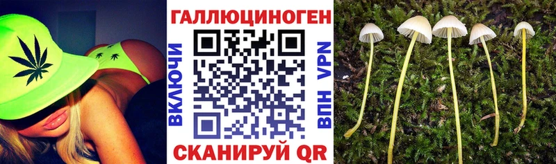 Купить где Инта Псилоцибиновые грибы GOLDEN TEACHER